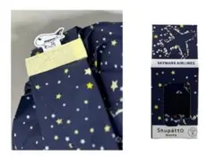 Item thumbnail for item 881dcb29-e529-473c-bfd9-22e9e0c173f2