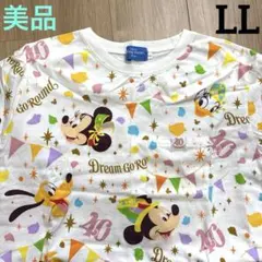 美品　ディズニーリゾート 40周年　半袖Tシャツ　LL ドリームゴーラウンド