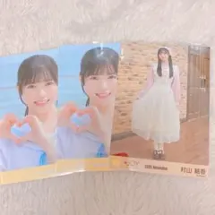 Item thumbnail for item 56023470-afa1-4c39-8a1c-cfe558a76f51