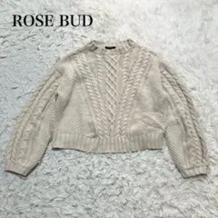 ROSE BUD ニットセーター F ケーブル　カジュアル　ウォッシャブル　無地のサムネイル