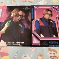 FANTASTICS 世界　BOTフォトカードセット