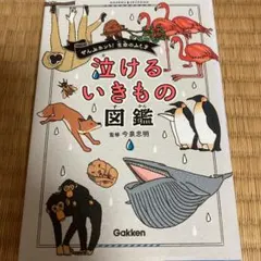 泣けるいきもの図鑑