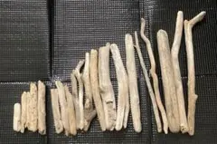 Item thumbnail for item d2ed6dd1-13ed-461f-a0f0-1028974304e8