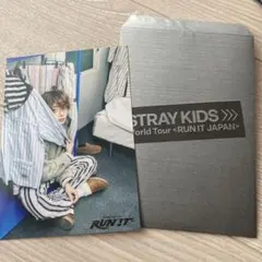 Stray Kids I.N タレントカード