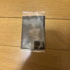 SEVENTEEN ジョンハン シール