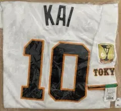 ひ*た様 未開封 XLサイズ 甲斐拓也 ユニホーム チャンピオンエンブレム GI ひ*た様 未開封 XLサイズ 甲斐拓也 ユニホーム チャンピオン