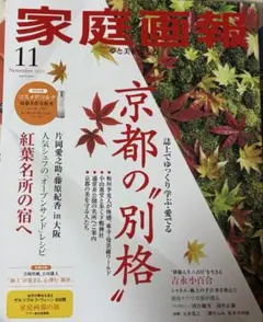 【美品】　家庭画報　最新号　11月号