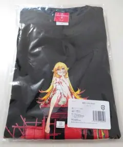 最終値下【ひろがるスカイ！プリキュア】ライブ限定Tシャツ Lサイズ