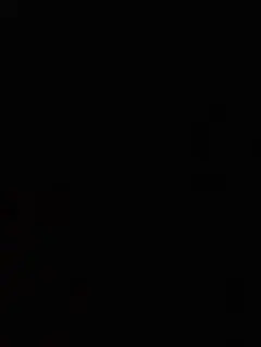 Item thumbnail for item ae66a125-e683-47df-b994-577a317c1549