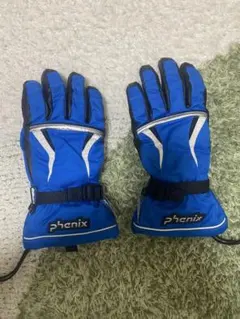 phenix 防水スキー・スノーボードグローブJL
