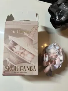 SKULLPANDA The Paradox The Hold