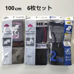 男の子 パンツ ボクサーブリーフ 100cm 6枚セット