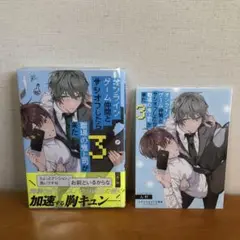 オンラインゲーム仲間とサシオフしたら職場の鬼上司が来た　3 ん村　特典　コミコミ