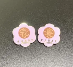 鬼滅の刃　栗花落カナヲ 隊士百景　コレクションピンズ　2種セット