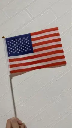 アメリカ国旗　usa ミニ国旗