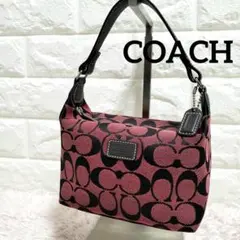 COACH コーチ アクセサリーポーチ シグネチャー ワンショルダーバッグ 美品
