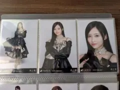 乃木坂46 井上和 真夏の全国ツアー2026 北海道バージョン 生写真コンプ