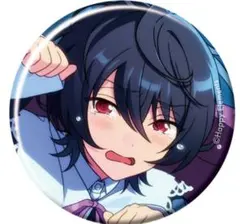 凛月　コレクション缶バッジ 朔間凛月 あんスタ コレクション 缶バッジ 2025 Feb Idol 30個