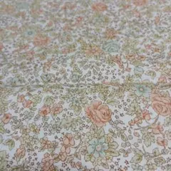 Item thumbnail for item 00f22a78-910d-4949-8613-303453de35b3