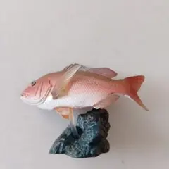 2005 Yujin 原色海水魚図鑑 Ⅱ 「マダイ」　フィギュア