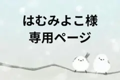 はむみよこ様　専用ページ