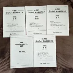 ⑳11 希少書き込み処理済み　グノーブル　グノレブ 4年　全11回 ⑳11 希少書き込み処理済み グノーブル グノレブ 4年 全11回 2025年