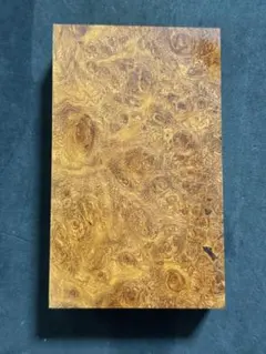 Item thumbnail for item 97471c0c-e4b2-41e4-9cd2-fc12bdf51e08