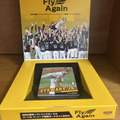 BBM ホークス 優勝カードセット2024 レギュラーコンプセット