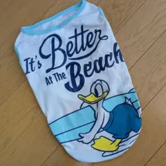 Item thumbnail for item 305cf9a7-b55e-43c3-bb1a-ac1ad0cb04c8