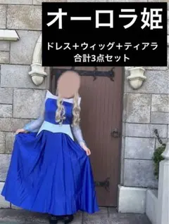 【※専用】Dハロ仮装　オーロラ姫　イメージウィッグ　マネキンあり 専用】Dハロ仮装 オーロラ姫 イメージウィッグ マネキンあり