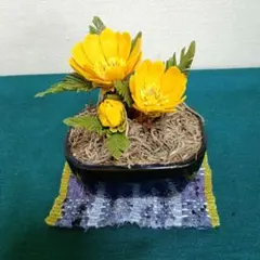 専用　福寿草の鉢花 　樹脂粘土　クレイフラワー