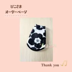 Item thumbnail for item b63bebfb-d8fc-4c14-85a0-5f5452143a2f