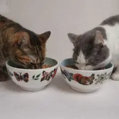 Item thumbnail for item e72d98ec-5496-4d3a-9d1d-c748598d4890