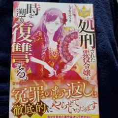 処刑された悪役令嬢は、時を遡り復讐する。