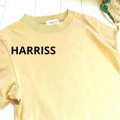 E*N様 最終値下げ HARRISS 厚手 Tシャツ 半袖 36 ベージュ スリのサムネイル