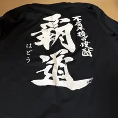 早い者勝ち！礼賛 武道館 Tシャツ - メルカリ