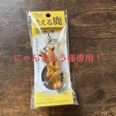 考える鹿　宮島