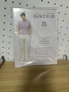 ASTRO CHA EUN-WOO アクリルスタンド GATE 6