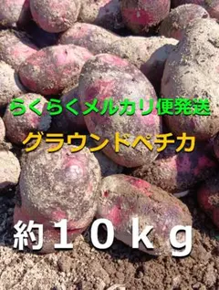 ヤマト便 新潟県産 じゃがいも グラウンドぺチカ(デストロイヤー）約10キロのサムネイル