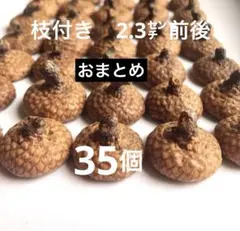 のんのこ様 リクエスト 6点 まとめ商品