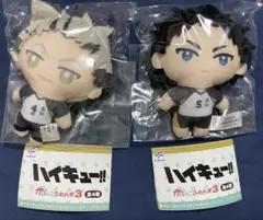 ハイキュー 木兎 光太郎 かぷっこふれんず