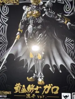 2026年最新】牙狼 garo 〜闇を照らす者〜 魔戒可動 黄金騎士 ガロ翔の
