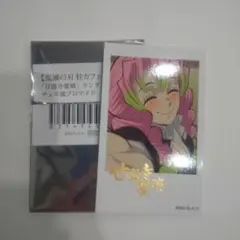 鬼滅の刃 甘露寺蜜璃 柱カフェ チェキ風ブロマイド 2種セット 立志