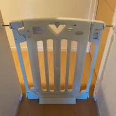 Item thumbnail for item 2e615229-fcd1-46e2-aac7-3a71141830e8