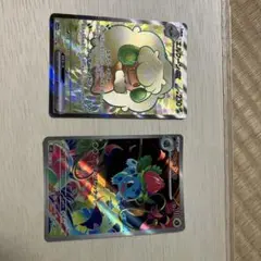 スリーブ フシギ