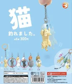 猫釣れました。サバトラ・ハチワレ - メルカリ