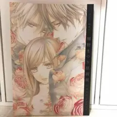 樋野まつり 原画展 公式ビジュアルファンブック ヴァンパイア騎士