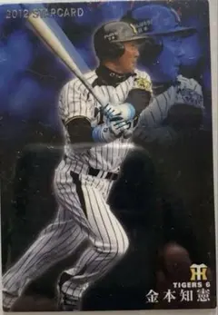 【リンゴ様専用】プロ野球 チップスカード[金本知憲]