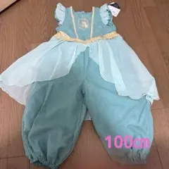 バースデイ　コトリ　ジャスミン　ジーニー　プリンセス バースデイ】本日先行予約開始！コトリのディズニーコレクション