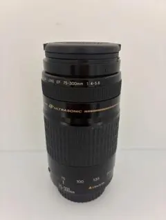 2026年最新】EF 75-300mm F4-5.6 isの人気アイテム - メルカリ